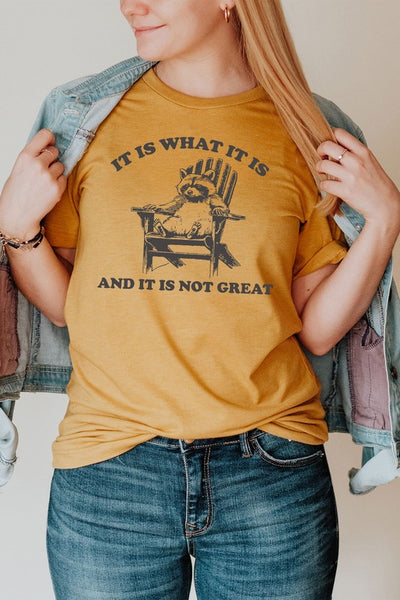 It Is What It Is Graphic Tee