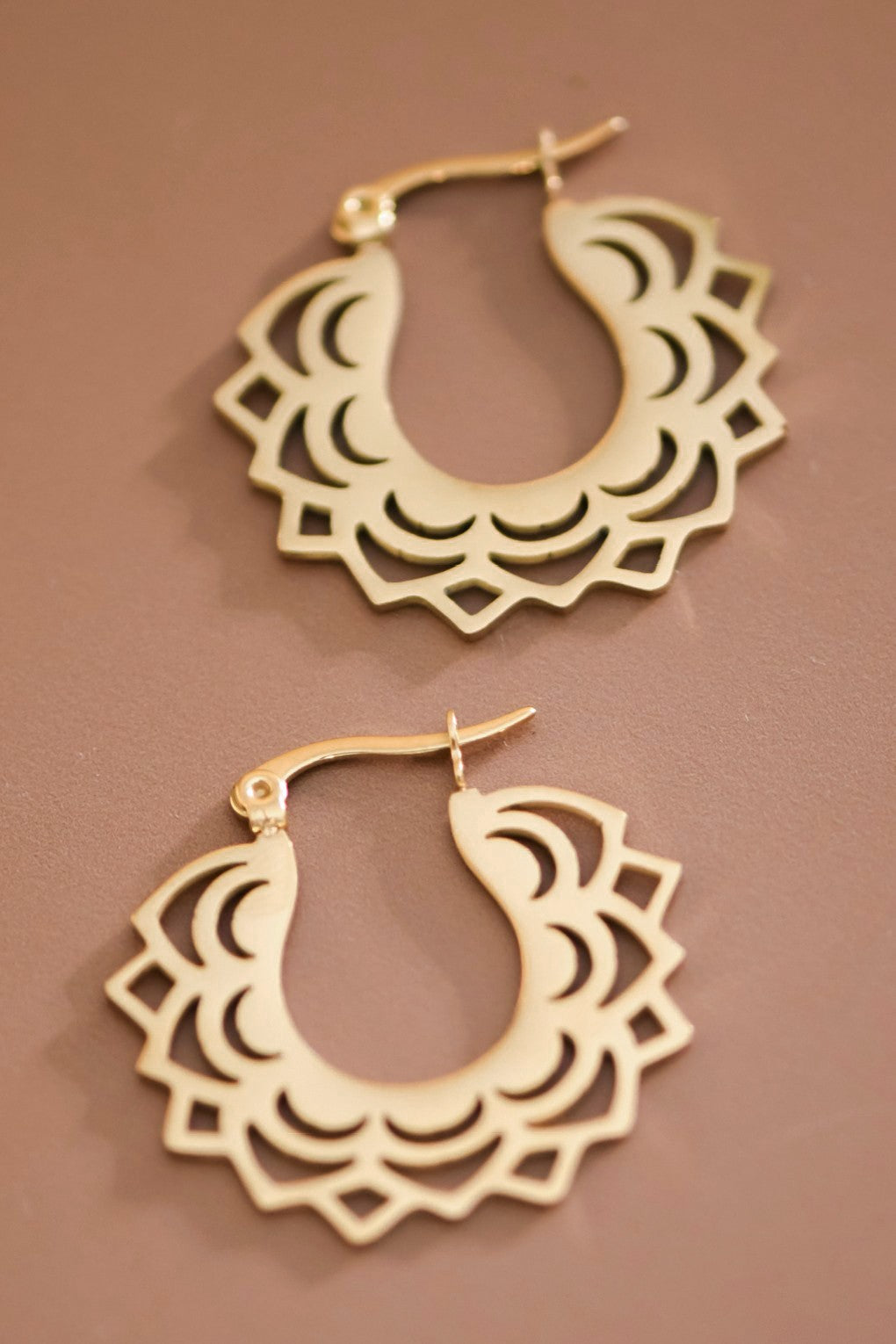 Delightful Design Hoop Earrings