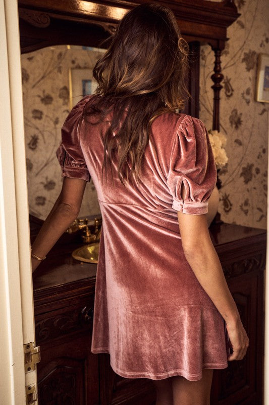 Holiday Christmas Velvet Short Sleeve Mini Dress