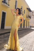 Preview only -  2026 Lemon Off Shoulder Lace Overlay Gown🤍