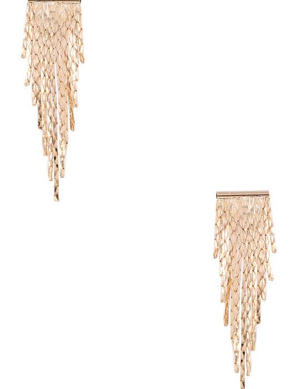 Metal Tassel Earrings