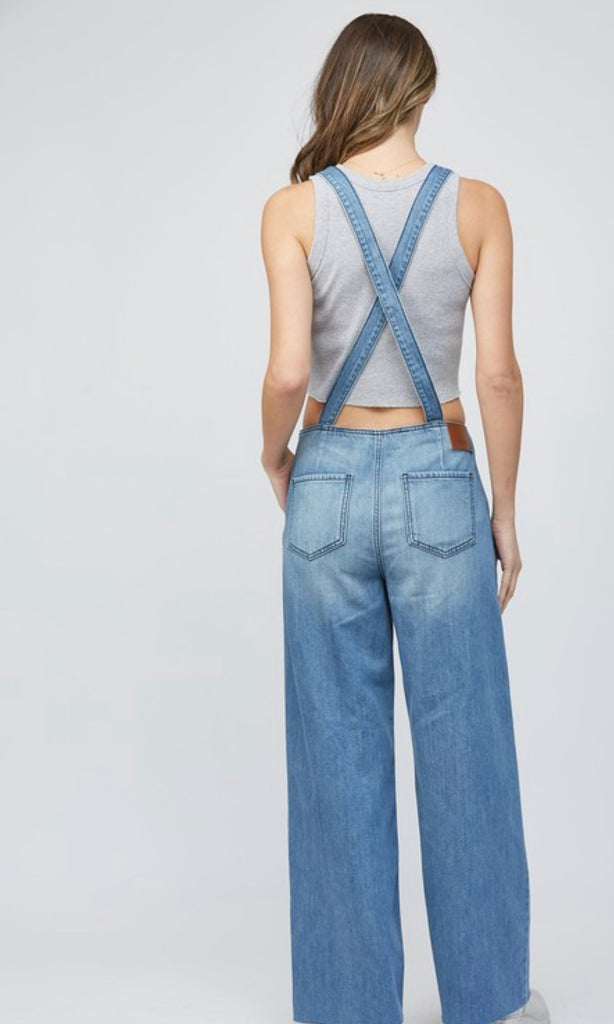 Hidden Dylan Denim Overalls